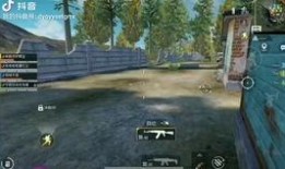 抖音爆料和平精英视频,平精英精彩瞬间，带你领略游戏魅力