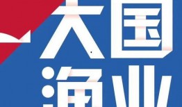 全国最近爆料视频大全图片,聚焦社会热点，揭示民生万象