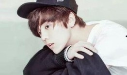 爱豆吃瓜娱乐酱汪东城,爱豆吃瓜娱乐酱，揭秘娱乐圈幕后故事