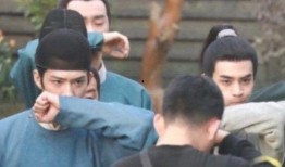 张公案最新爆料,揭秘神秘事件背后的惊人真相