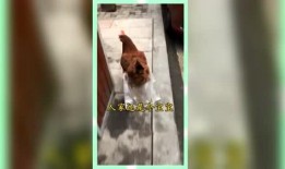 八卦娱乐是吃瓜群众的,揭秘吃瓜群众的狂欢盛宴