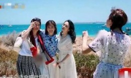 谢娜章子怡最新爆料,揭秘娱乐圈不为人知的幕后故事