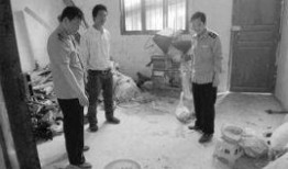 成县网红吃瓜事件始末,一场网络舆论的风暴与反思