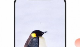 舌尖爆料探店视频下载,揭秘热门美食店铺幕后故事