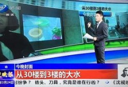 最新沈阳爆料新闻,揭秘XX事件背后真相