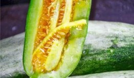 安阳网红吃瓜,揭秘网络红人的幕后故事