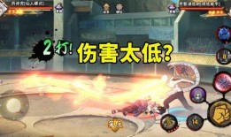 仙人兜技能视频爆料直播,直播爆料带你领略神秘力量