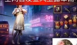 军需爆料最新今天,揭秘今日军事装备最新动态