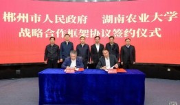 湖南郴州爆料新闻事件,揭开当地疑似违规操作黑幕，真相令人震惊