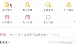 爆料投稿的视频怎么发,如何从素材到成文