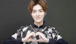 王师傅爆料鹿晗视频播放,鹿晗神秘视频幕后真相大揭秘