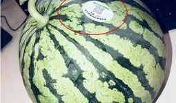 安阳网红吃瓜,揭秘网络红人的幕后故事