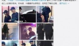 狗仔爆料明星八卦视频下载,明星八卦视频幕后下载全解析