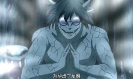 仙人兜技能视频爆料直播,直播爆料带你领略神秘力量