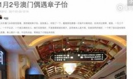 澳门最新爆料电话,揭秘幕后真相