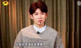 王源最新的爆料视频,幕后故事与成长瞬间