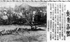 营口最新爆料事件新闻,神秘事件引发社会关注