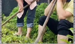 八卦娱乐是吃瓜群众的,揭秘吃瓜群众的狂欢盛宴