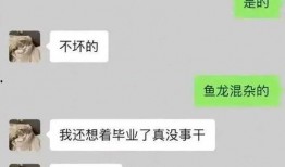 网红圈女网红爆料视频,女网红爆料视频背后的惊人真相