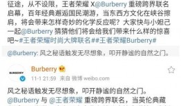 巴宝莉皮肤爆料视频,揭秘奢华时尚背后的秘密