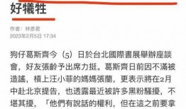 葛斯齐最新爆料包机,神秘包机事件背后真相揭晓