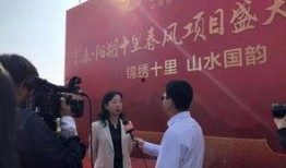 桂林彰泰大爆料新闻,揭秘背后惊人真相