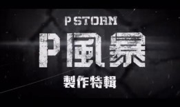p风暴在线观看,在线观看，揭秘风暴背后的惊心动魄