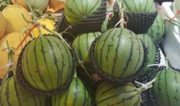 网红吃瓜黄料,一场网络狂欢背后的真相