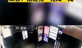 网红外卖爆料视频大全集,揭秘美食背后的秘密