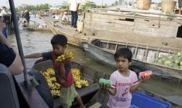 柬埔寨矿山大哥爆料视频,揭秘真实矿工生活