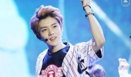 王师傅爆料鹿晗视频播放,鹿晗神秘视频幕后真相大揭秘