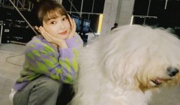 娱乐圈最新爆料虞书欣,娱乐圈再掀波澜！