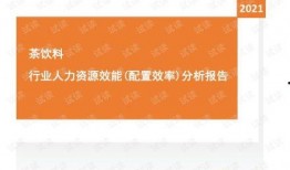 娱乐爆料风格分析报告范文,娱乐爆料风格深度解析报告