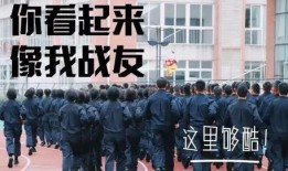 深圳大学新生爆料事件视频,校园生活揭秘，视频曝光惊人内幕