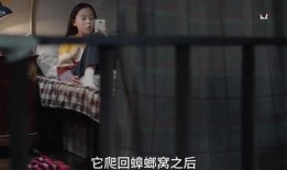 浪姐三季姐姐爆料视频