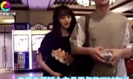 曝郑爽被爆料视频,真相与争议交织