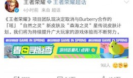 巴宝莉皮肤爆料视频,揭秘奢华时尚背后的秘密