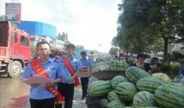 武都城网红吃瓜事件视频,一场网络热议的幕后真相揭秘