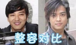 向太爆料陈晓东视频,真相背后引人深思