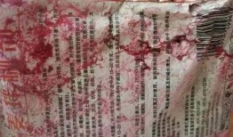 爆料二哈视频下载百度云