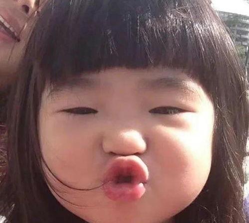 二哈吃瓜娱乐圈小说