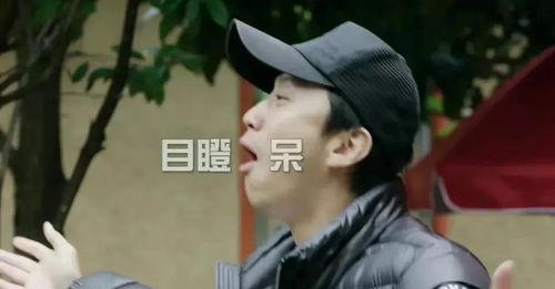 二哈吃瓜娱乐圈小说