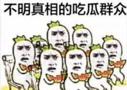 微信吃瓜表情包啥意思