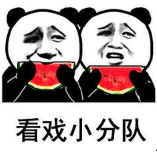 娱乐圈的瓜吃的瓜表情包