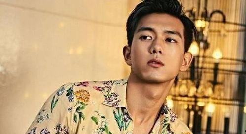 爱豆吃瓜娱乐圈李现,娱乐圈吃瓜达人，揭秘爱豆背后的故事