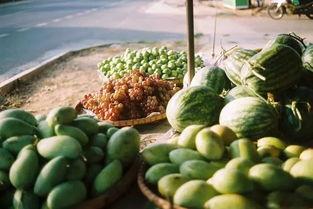 每日吃瓜大赛入口汇聚地,汇聚地揭秘，瓜界风云再起