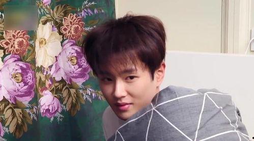 吃瓜娱乐圈李现和范丞丞,娱乐圈的瓜田奇遇记